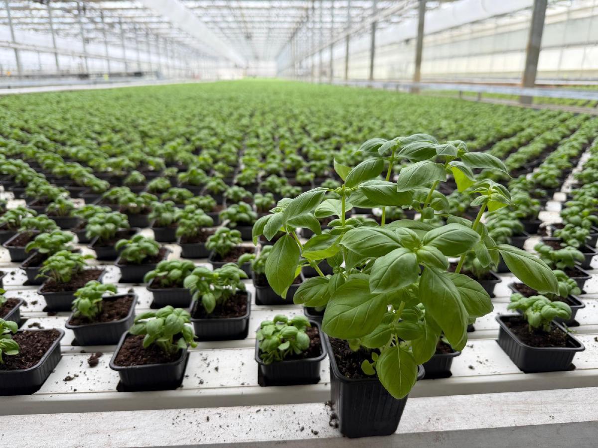 BiofarmVA LLC – Harrisonburg, Virginia - Image 3