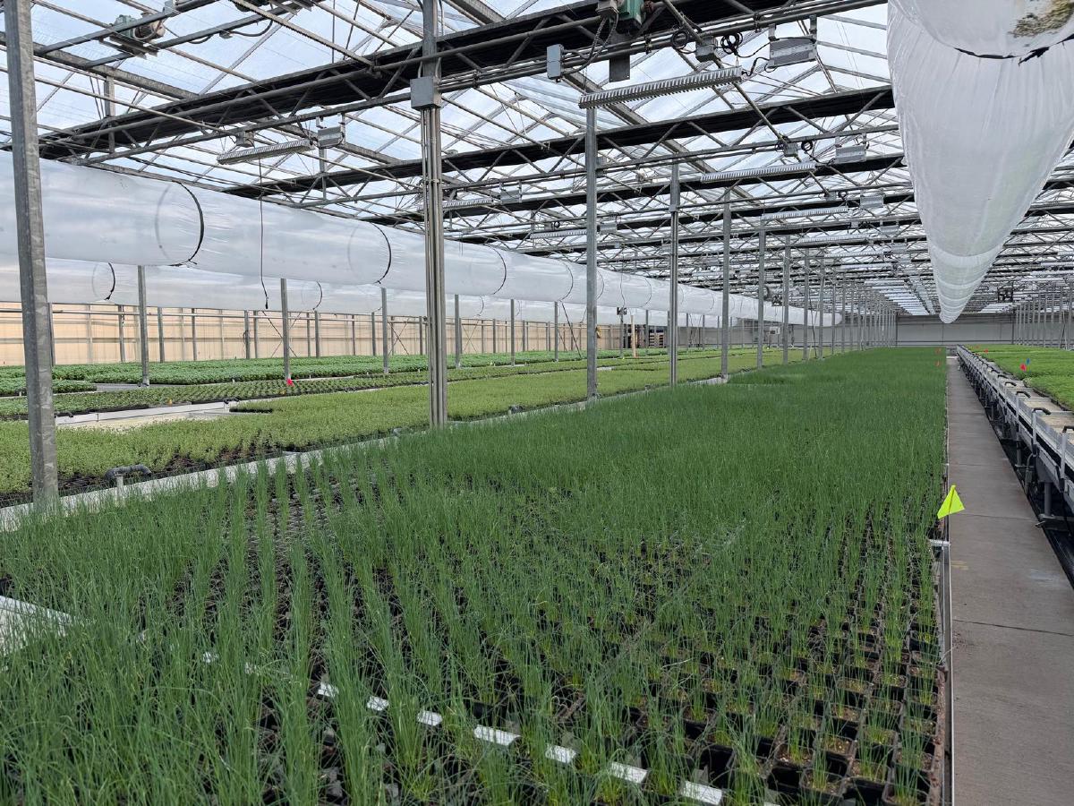 BiofarmVA LLC – Harrisonburg, Virginia - Image 2
