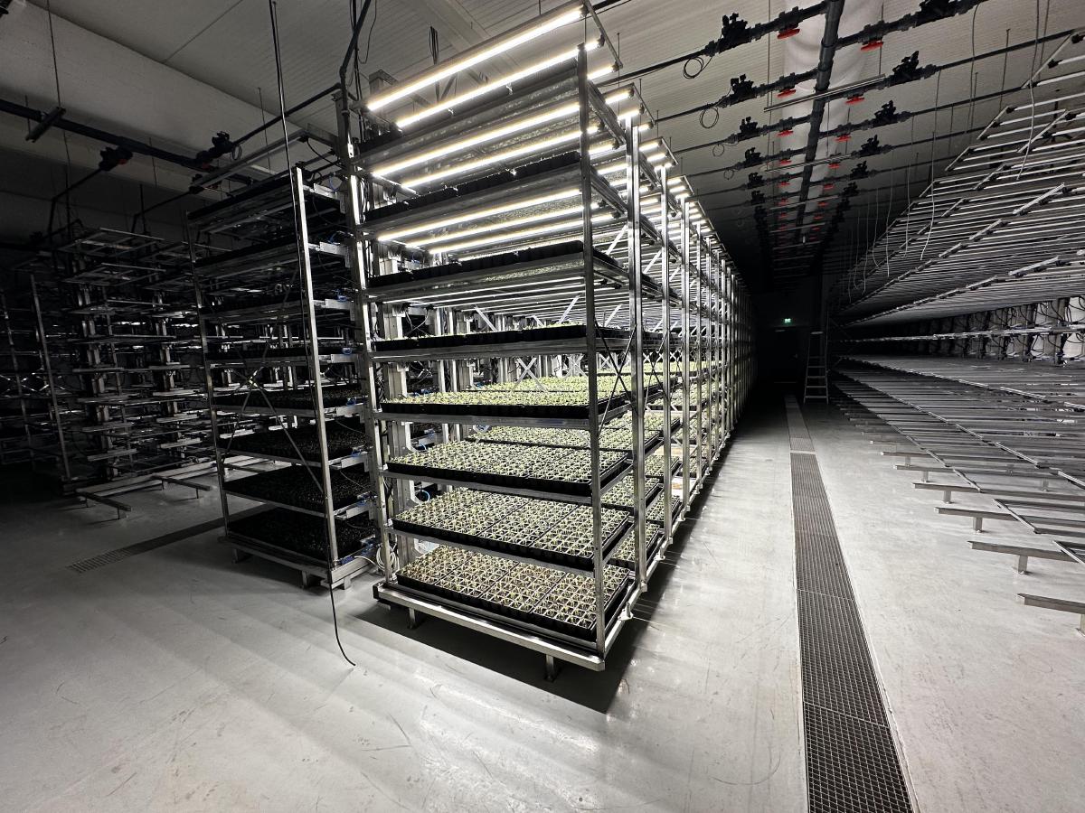 FamiFarm Oy – Juva, Finland - Image 2