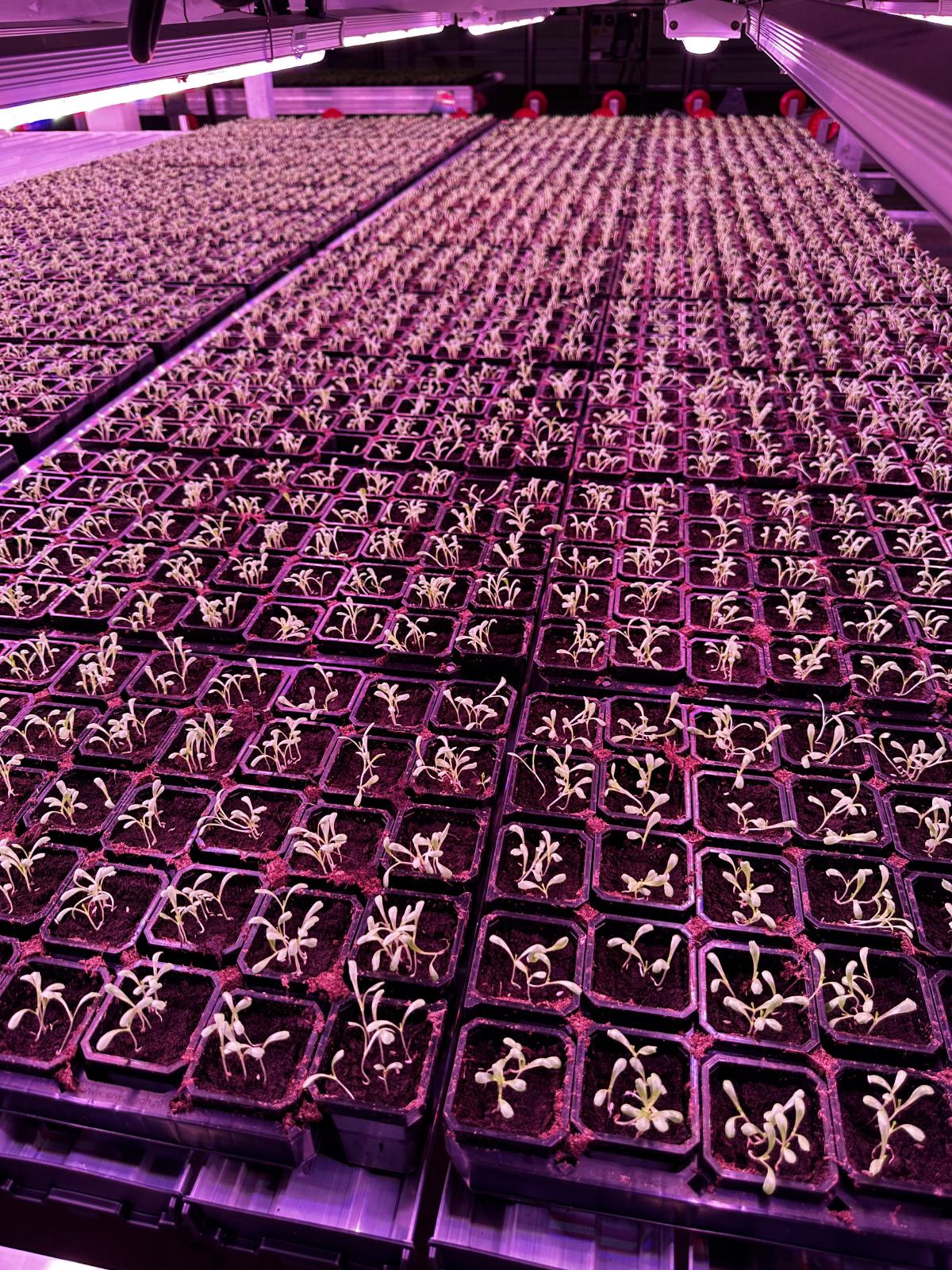 I-ODA Controls - Image 3