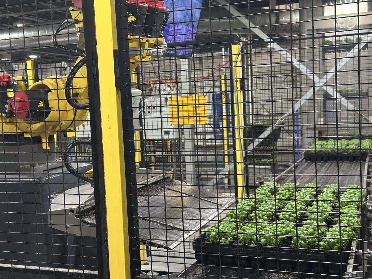 Soli Organic, USA