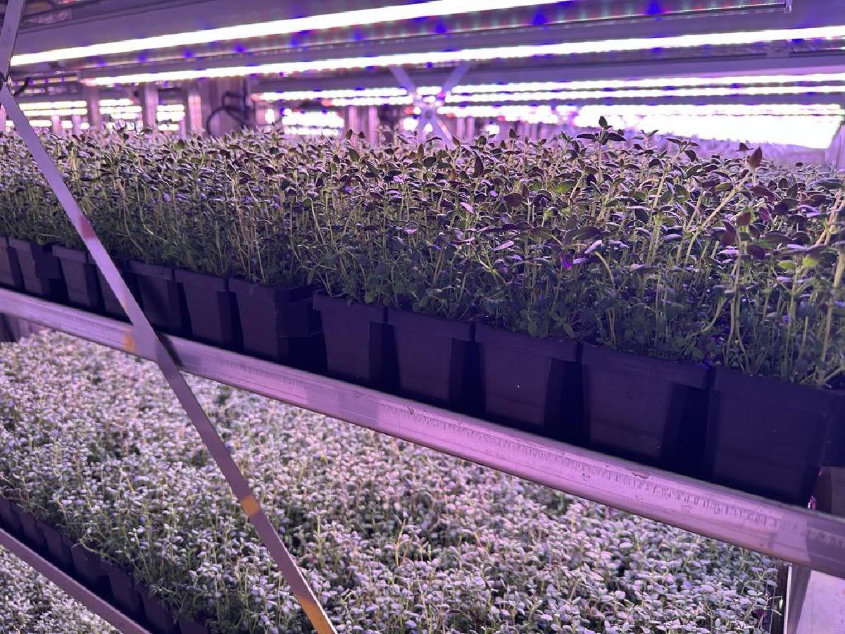 CreaSpacer™ - Image 4