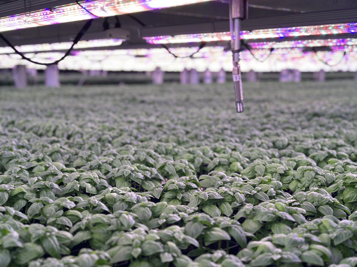 I-ODA Controls - Image 2