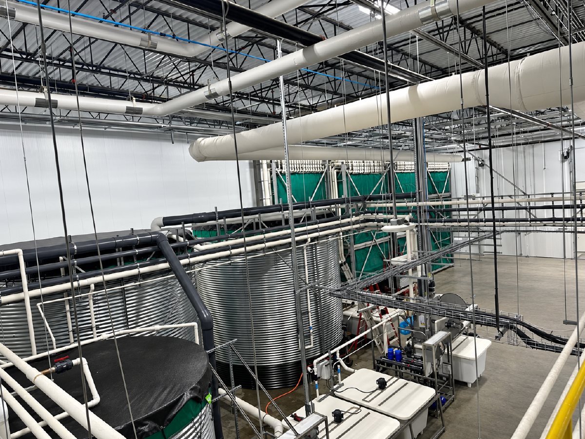 Water Room Systems - Image 2